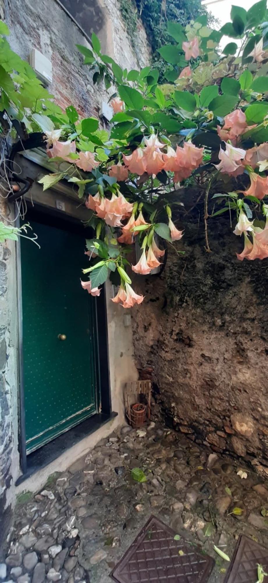 热那亚Giuggiolhouse公寓 外观 照片
